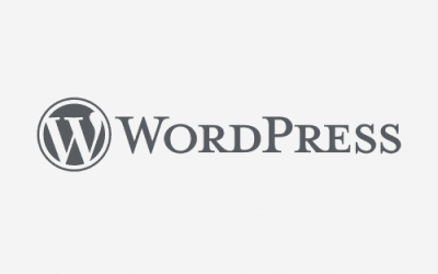 Why Do We Use WordPress?